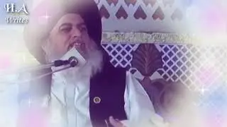#shane sahaba