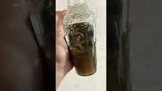 Элексир от всех болезней! Проверенный столетиями настой!