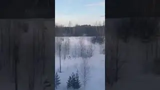 27 февраля 2024 г.