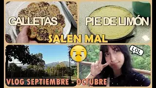 VLOG | Hicimos galletas y pie de limón pero quedaron mal 🫠