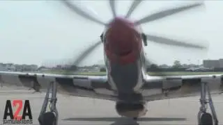 Accu-research:  P-51D Mustang 