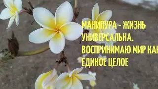 МАНИПУРА. СОЛНЕЧНОЕ СПЛЕТЕНИЕ. ПУПОЧНЫЙ ЦЕНТР. АСАНЫ, МУДРЫ, КРИИ, ПРАНАЯМЫ . ЙОГА АСАНЫ ДОМА.