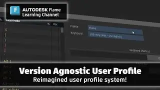 Version Agnostic User Profile - Flame 2025