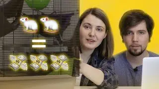 Сколько стоит содержание крысы
