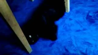 Oskar si hraje s USB ;D)