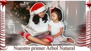 Nuestro primer Arbol de navidad NATURAL - USA VLOG# 11