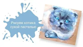 Рисуем Котика Дымку Сухой Пастелью 🐱