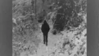 Nocturnal Depression - Host