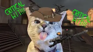 [tf2] soconfused