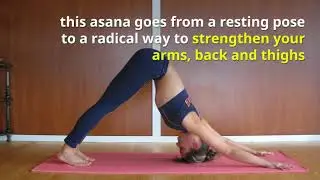 10 Yoga Asanas that will help you to stay fit