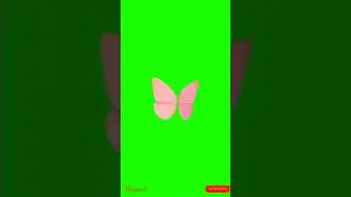 Green screen animated Pink Butterfly | Free to use | copy right free