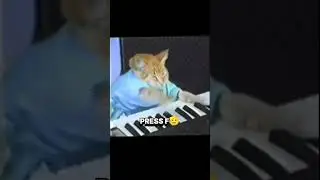 Nostalgia 😭 #shorts #cat #piano #nostalgia