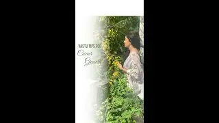 VASTU TIPS FOR CAREER GROWTH | DR. JAI MADAAN