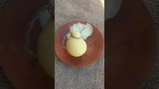 Качокавалло сыроварни Порох