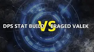 testing dps stat build vs enraged valek