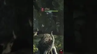 Who's mans is this?! #dragonsdogma2 #pawn #glitch