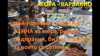 Най-големият пазар в Атина, ВАРВАКИО-АГОРА, месо, риба, билки, подправки и... котката Султана 😻