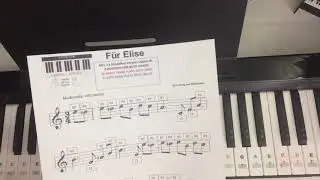 Treble Up w/ Fur Elise by Beethoven Simplified Version #1  (Not Tutorial)