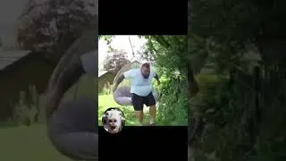 Random Memes I found on the internet #72