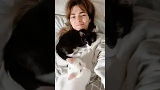 🐱🐱 везла их из Питера в Стокгольм в новые семьи 🤍🖤