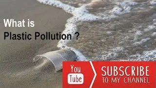 Plastic Pollution