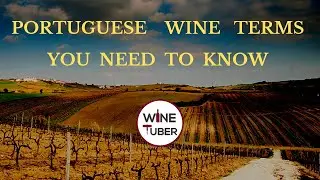 Essential guide to Portuguese wine terms | 