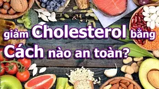 (VE) Cholesterol Cao "Gõ Cửa"? Đừng Hoảng!  Thói Quen Ăn Uống "Đánh Bay" Nó Dễ Dàng!