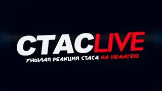 Унылая реакция Стаса на немагею | 