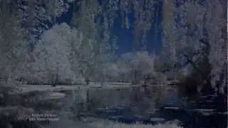 With Tender Passion - FREDERIC DELARUE(Relaxing,soothing music)