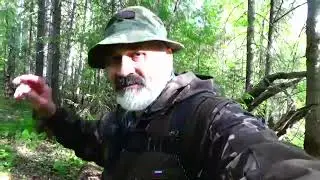 Рыбалка сетями на озере в июне #2 Рябчики и черника