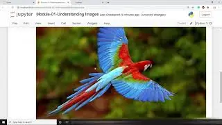 2.1. Read Images using OpenCV, PIL, Matplotlib || Face Recognition Web App || Flask, Python