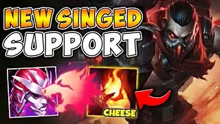 I INVENTED A BROKEN SINGED SUPPORT STRATEGY! (THIS IS SO BEYOND CHEESE)