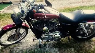 Motor Cycle Cinematic