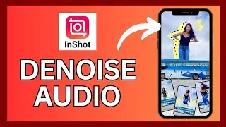 How to Denoise Audio in InShot 2024?