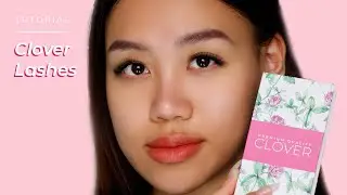 Stunning Volume Lashes with Clover Lashes by LLBA