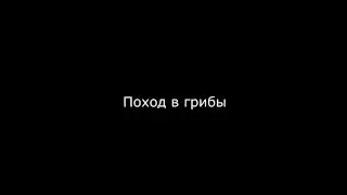 Поход в грибы. ПРИКОЛ!