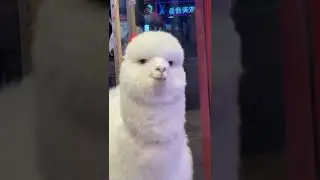 wink 😉