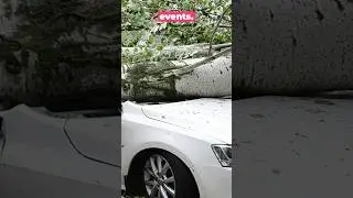 The Mistake All New Car Owners Make