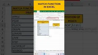 MATCH FUNCTION IN EXCEL