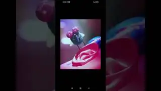 спокойной ночи, колыбельная #bestmoments #bestcoub #юмор #юмор2024