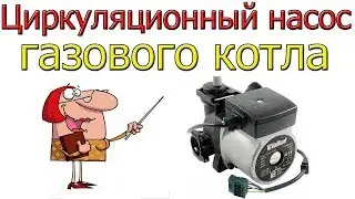 Gas boiler circulation pump. Design. Disassembly. Hydraulic part