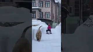 Прогулки с Ка Де Бо