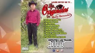 03 Mi Chuyita   Los Originales de Marte Hernadez