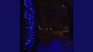 Web Room