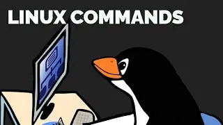 Linux commands | basic Linux ubuntu commands