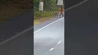 Ягуар напал на человека