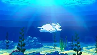 Under the sea 🐳 Dreamy vibes for the summer