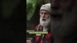 Heal the forest, heal the water