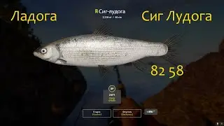 рр4! Ладога. Сиг-лудога с подвесного моста.