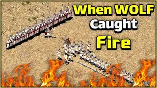 Surprise Surprise Mother WOLF😂 Fire vs WOLF Stronghold Crusader